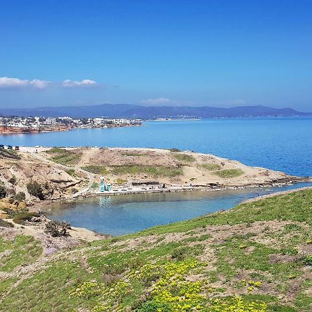 Villa Blue. Two Storey House, 100 Meters From Sea Rafína Exterior foto