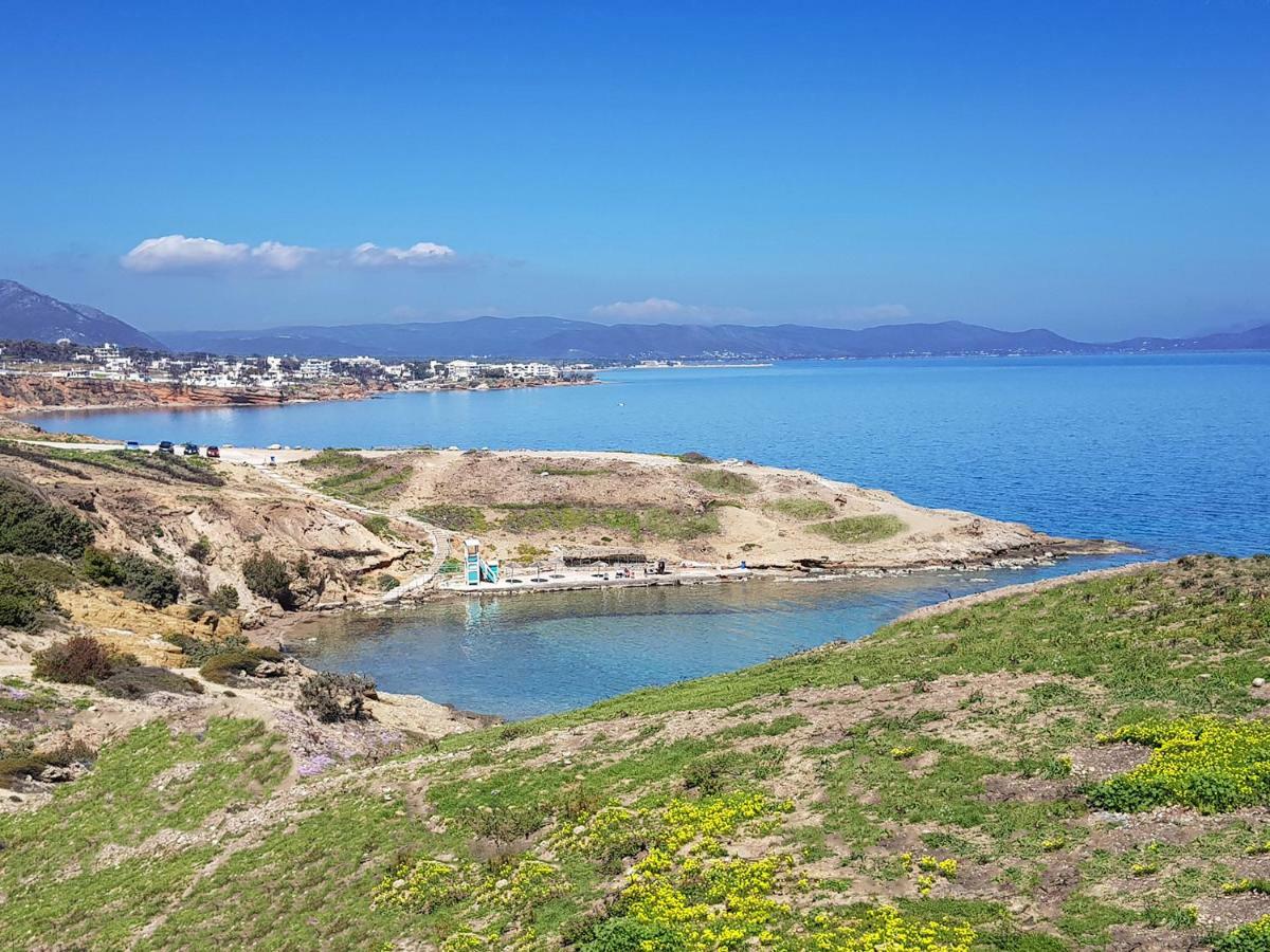 Villa Blue. Two Storey House, 100 Meters From Sea Rafína Exterior foto